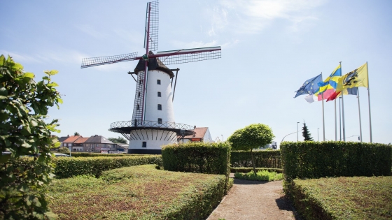 Molen met vlaggen 