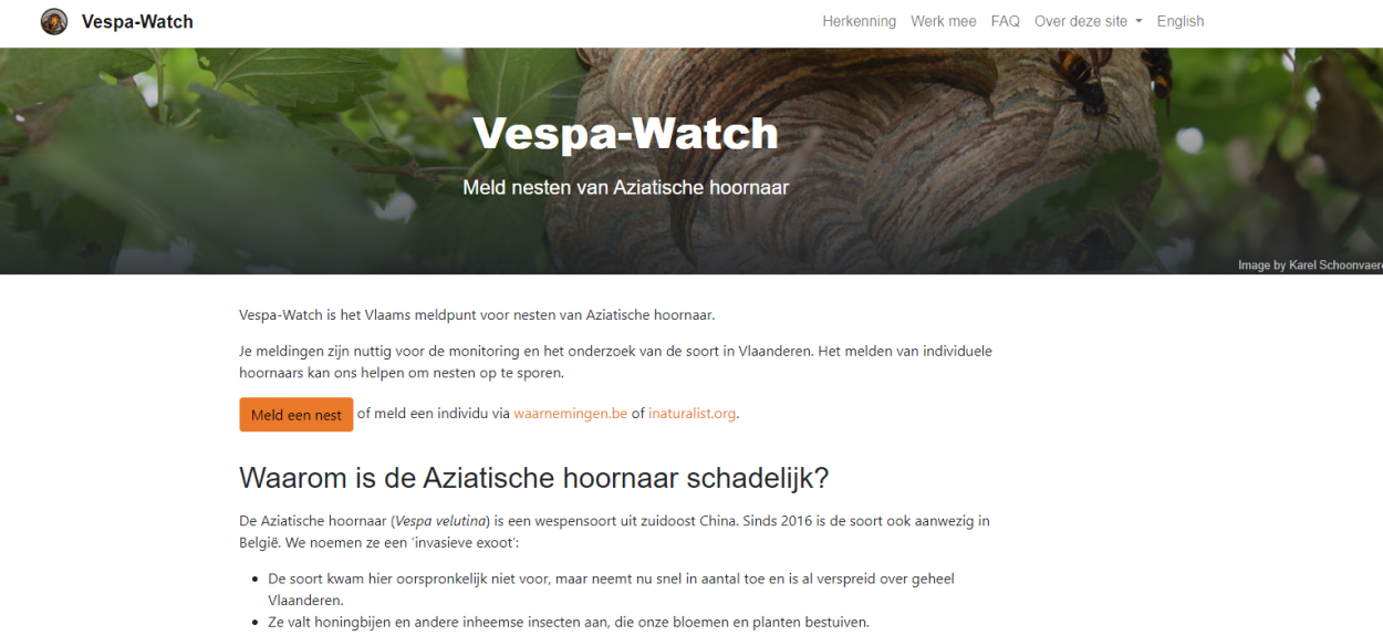 Vespa-watch